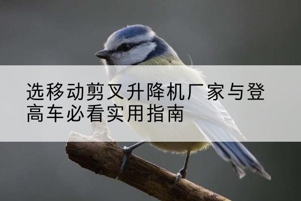 龙泉电动升降机厂家-选移动剪叉升降机厂家与登高车必看实用指南
