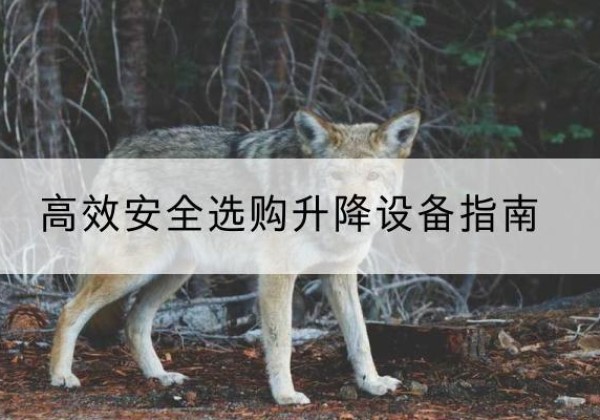 龙泉升降货梯厂家推荐-*安全选购升降设备指南