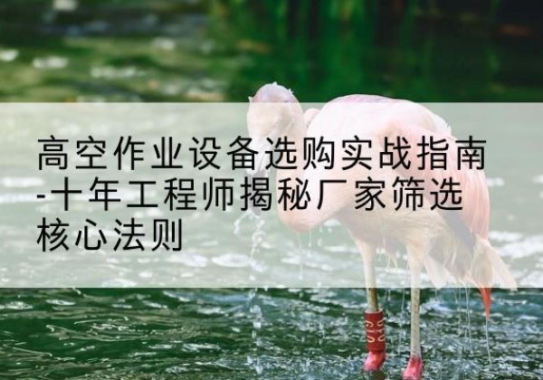 龙泉剪叉式升降机厂家-高空作业设备选购实战指南-十年工程师揭秘厂家筛选核心法则